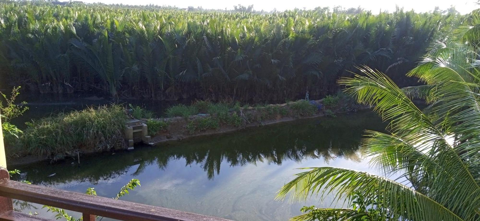 Lakeview Villa Homestay Hoi An Exterior foto